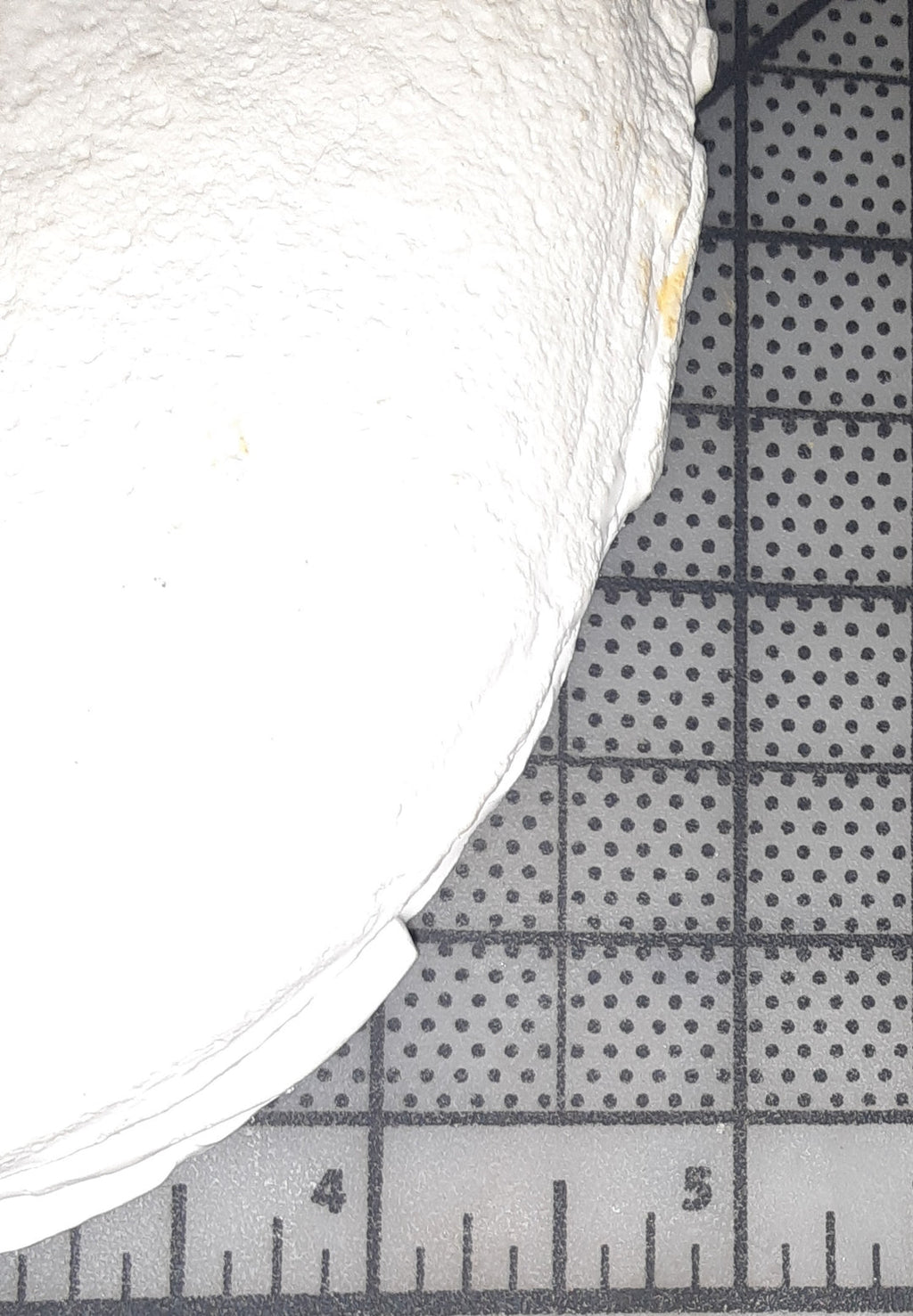 Bigfoot Titmus Patterson Cast Footprint Patterson Cast