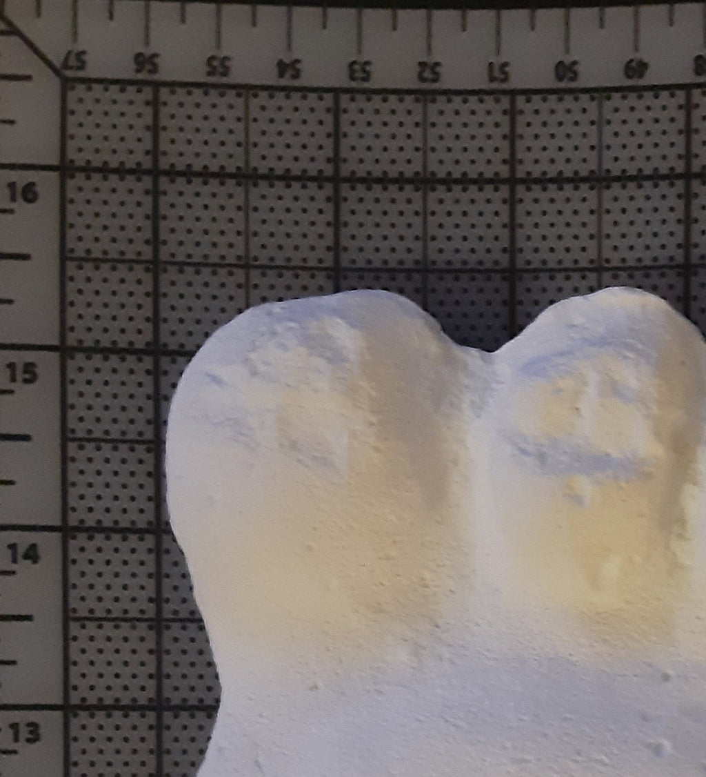 Bigfoot Titmus Patterson Cast Footprint Patterson Cast