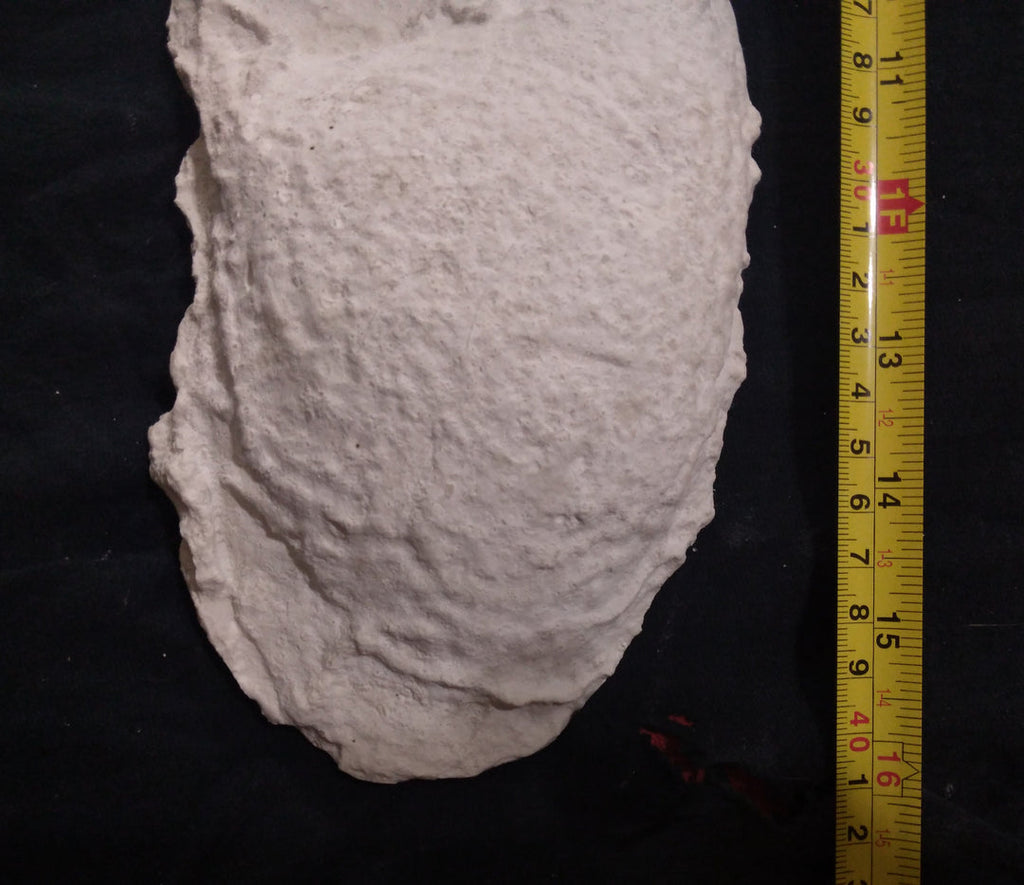 1967 New Bigfoot Patterson "Patty #2" track footprint cast