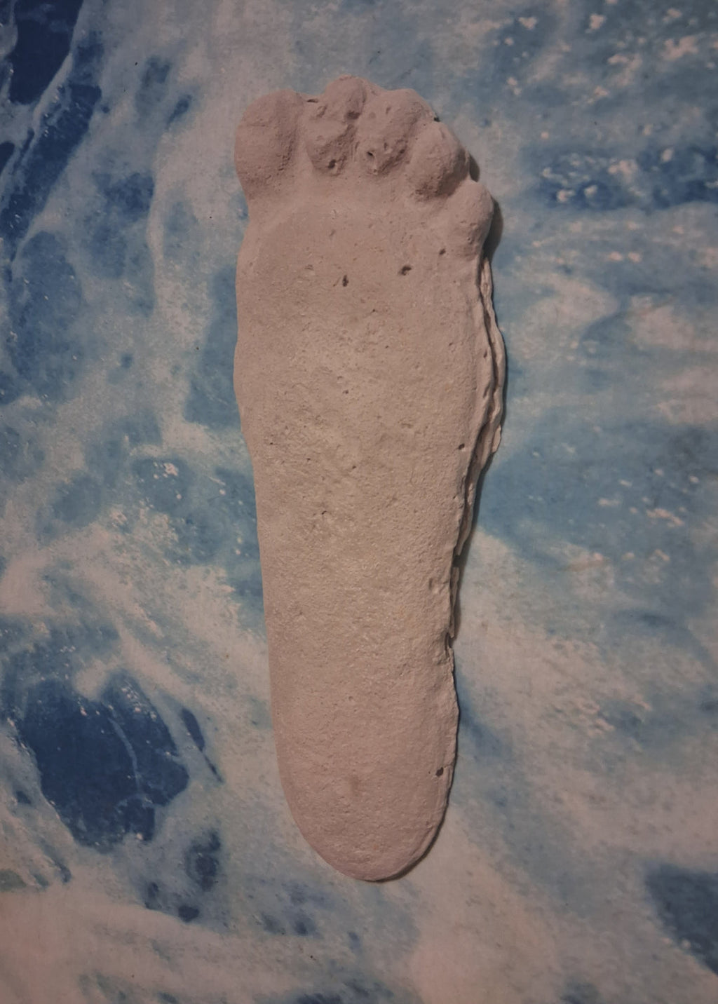 Bigfoot Titmus Patterson Cast Footprint Patterson Cast