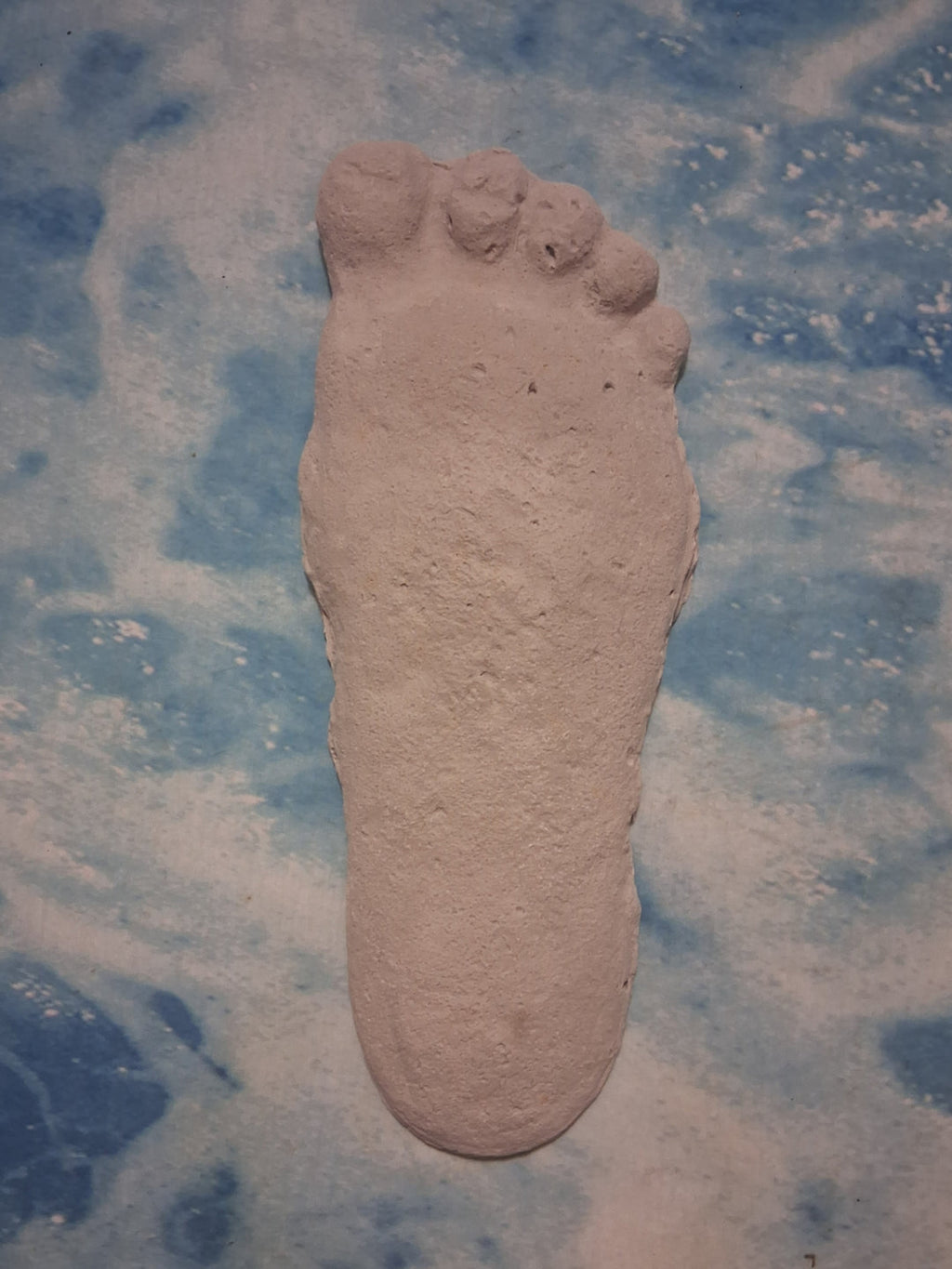 Bigfoot Titmus Patterson Cast Footprint Patterson Cast