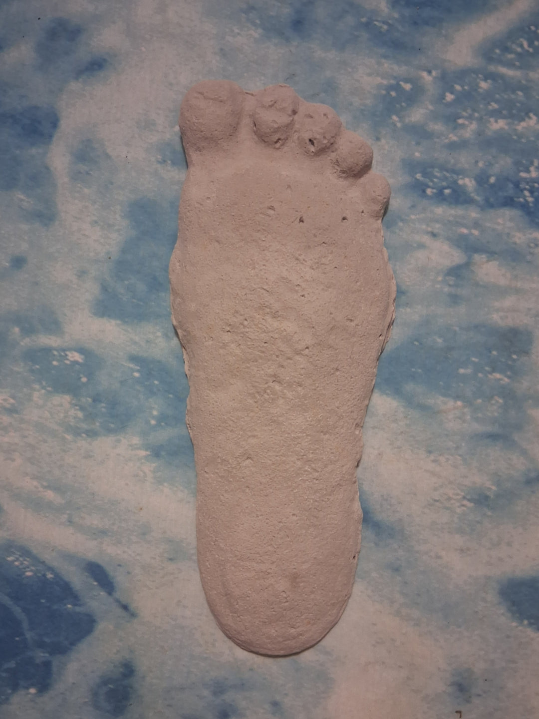 Bigfoot Titmus Patterson Cast Footprint Patterson Cast