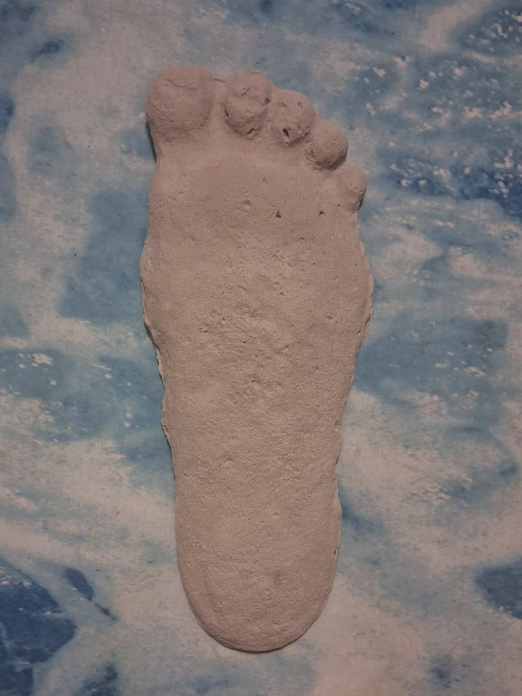 Bigfoot Titmus Patterson Cast Footprint Patterson Cast