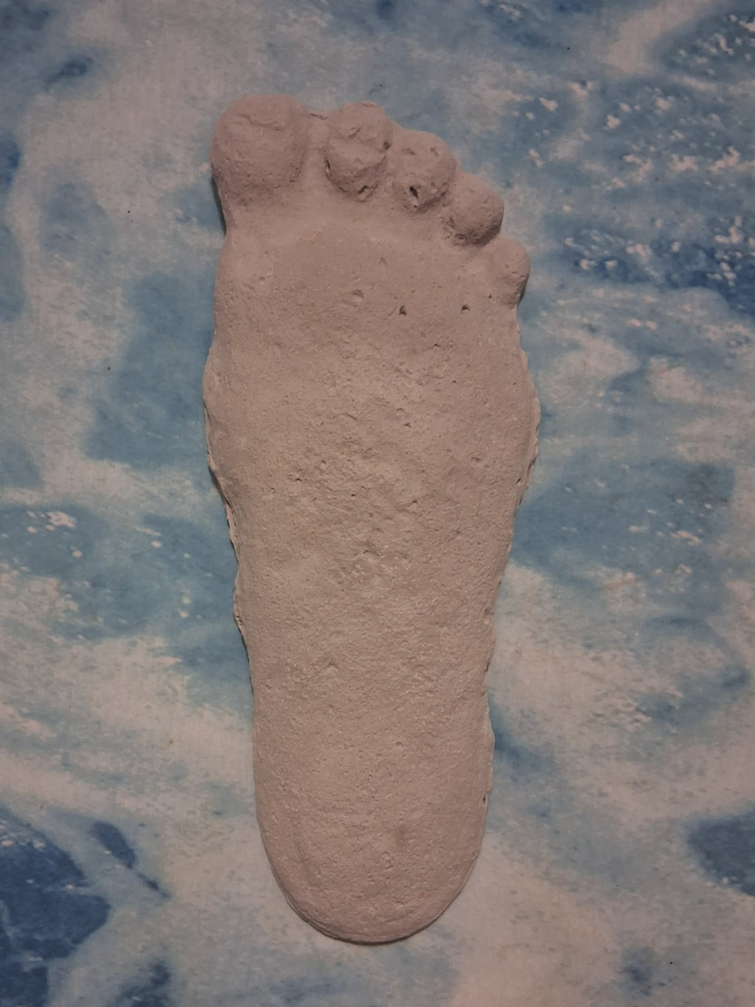 Bigfoot Titmus Patterson Cast Footprint Patterson Cast