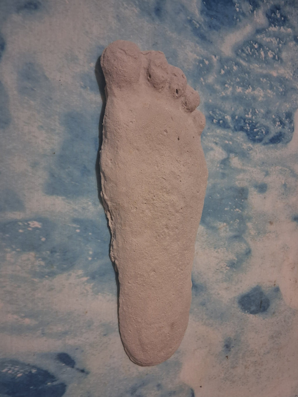 Bigfoot Titmus Patterson Cast Footprint Patterson Cast