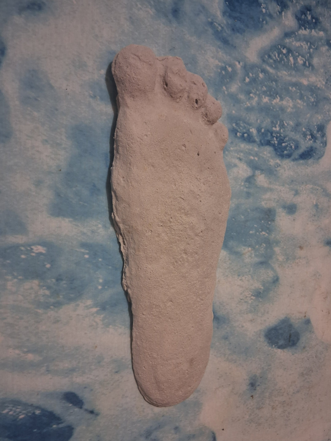 Bigfoot Titmus Patterson Cast Footprint Patterson Cast