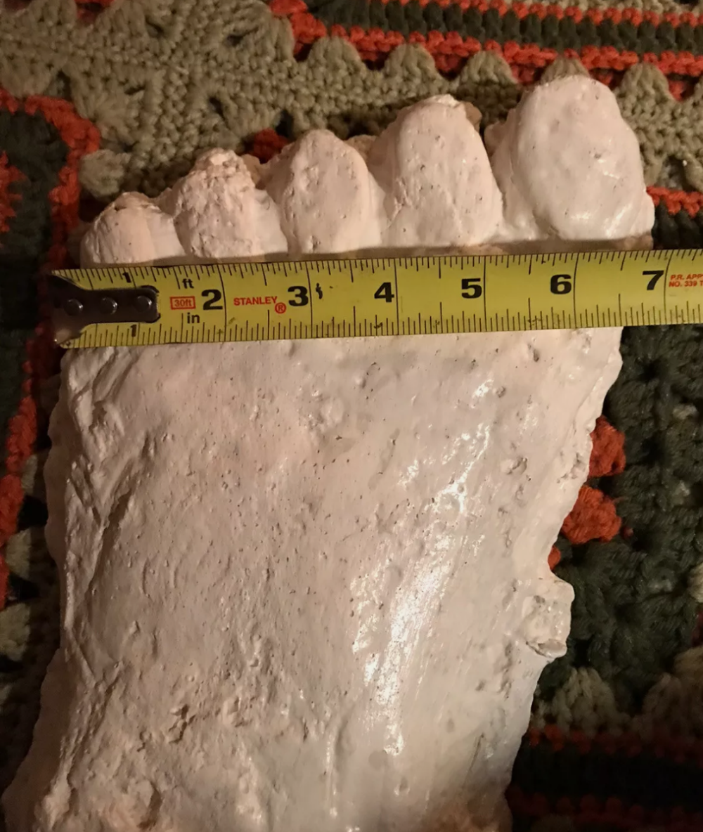 Bigfoot Cast Footprint Plaster Cast
