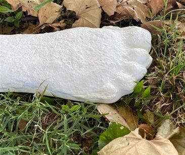 Bigfoot Patty Cast Footprint Patterson Cast