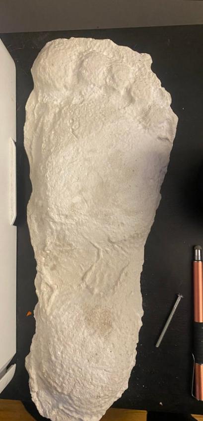 1967 New Bigfoot Patterson "Patty #2" track footprint cast