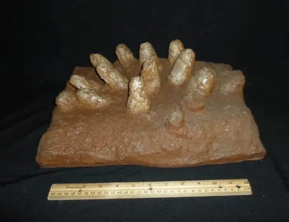 Protoceratops Egg nest Cast Replica Dinosaur Reproductions