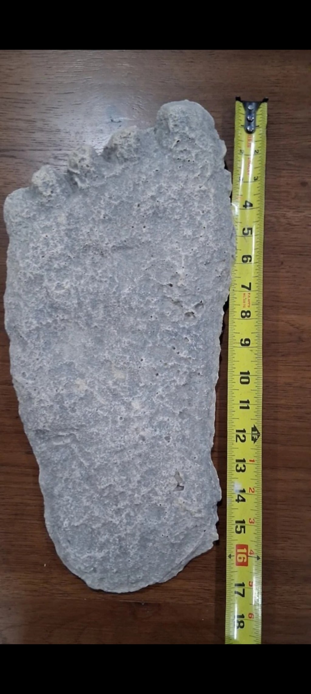 Bigfoot Wall Hanging Version SASQUATCH / BIGFOOT CAST Frank Kaneaster, Colton OR. 1999