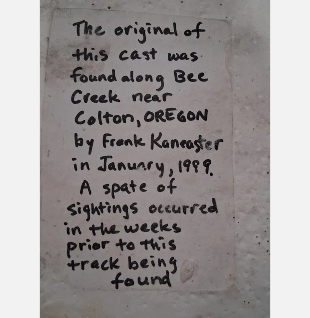 Bigfoot Wall Hanging Version SASQUATCH / BIGFOOT CAST Frank Kaneaster, Colton OR. 1999