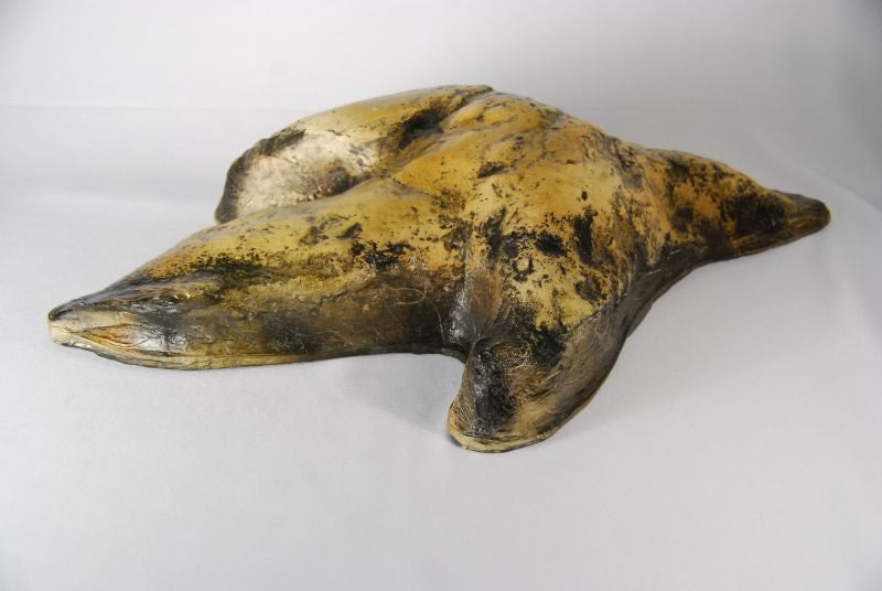 Carnosaur footprint cast replica