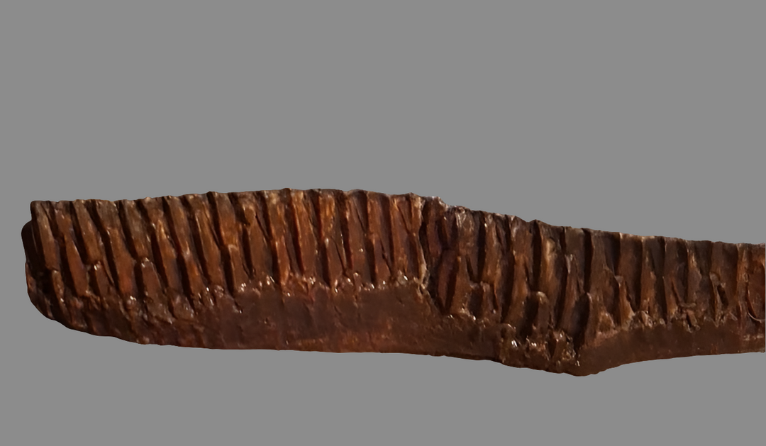 Edmontosaurus Tooth "Battery" Teeth. Cast Replica #1 Dinosaur