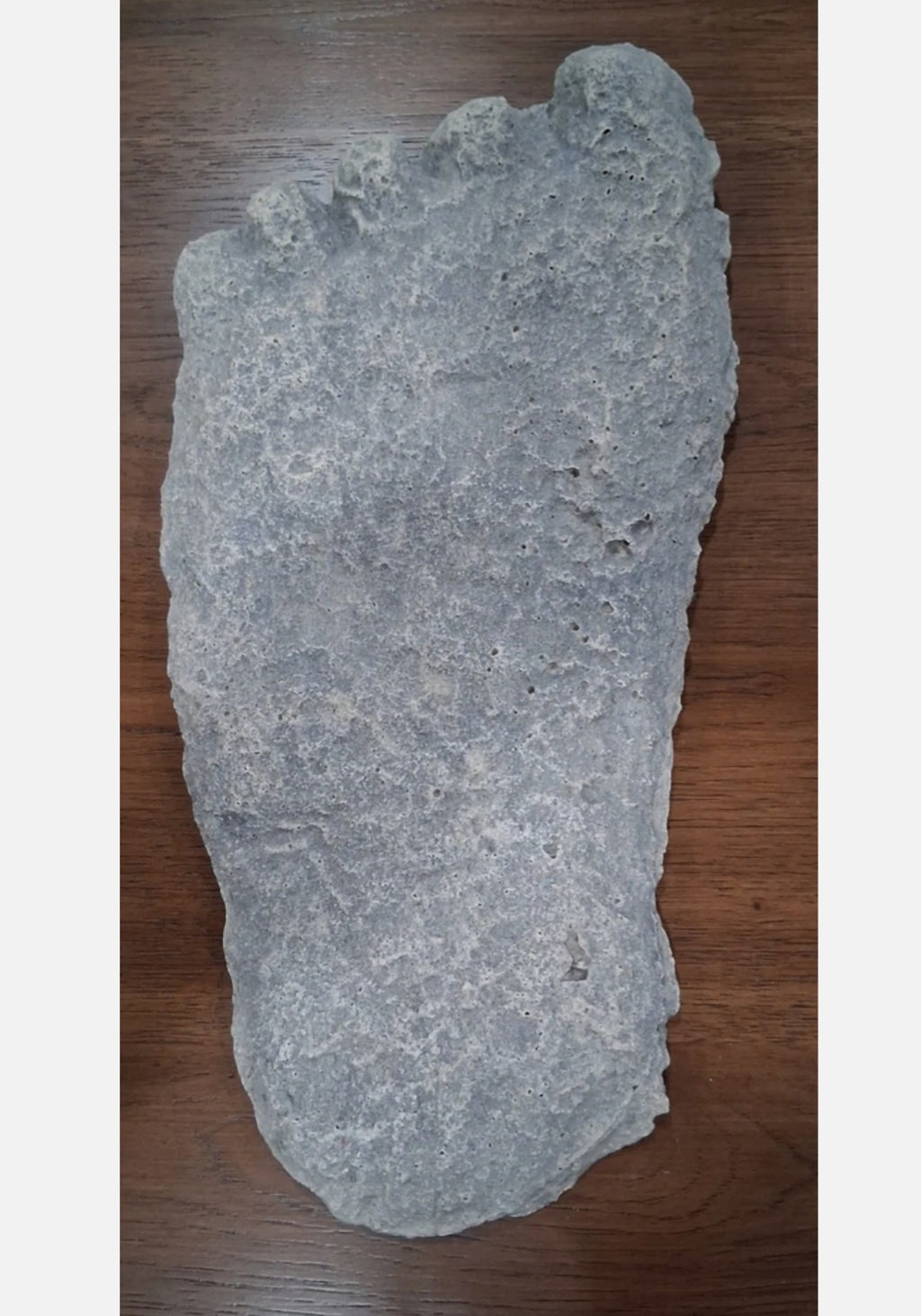 Bigfoot Wall Hanging Version SASQUATCH / BIGFOOT CAST Frank Kaneaster, Colton OR. 1999