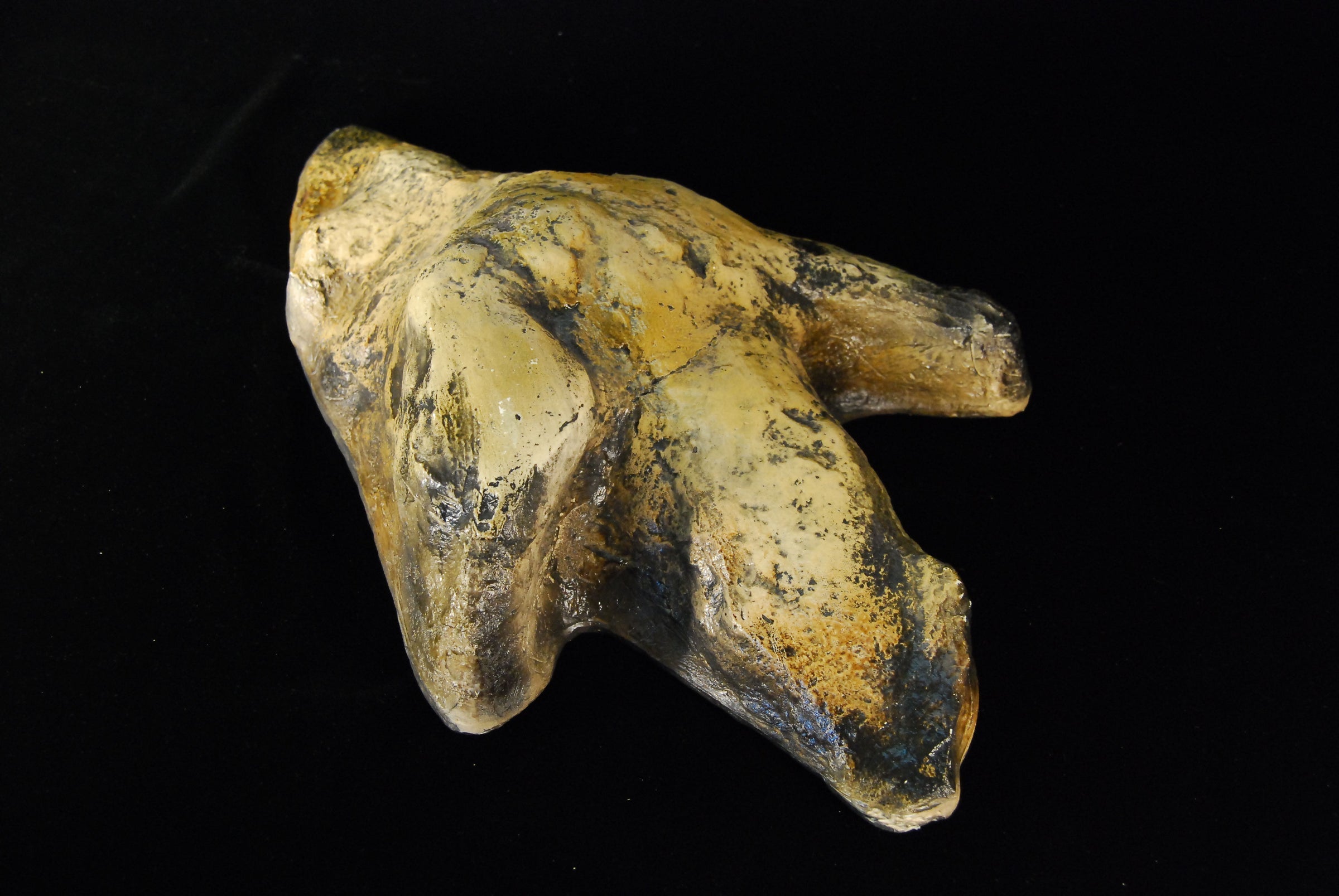 Carnosaur footprint cast replica