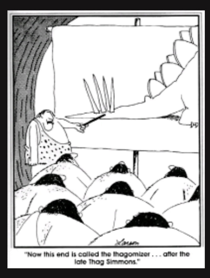 Stegosaurus Tail Spike cast replica  Thagomizer