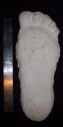 Bigfoot Titmus Patterson Cast Footprint Patterson Cast